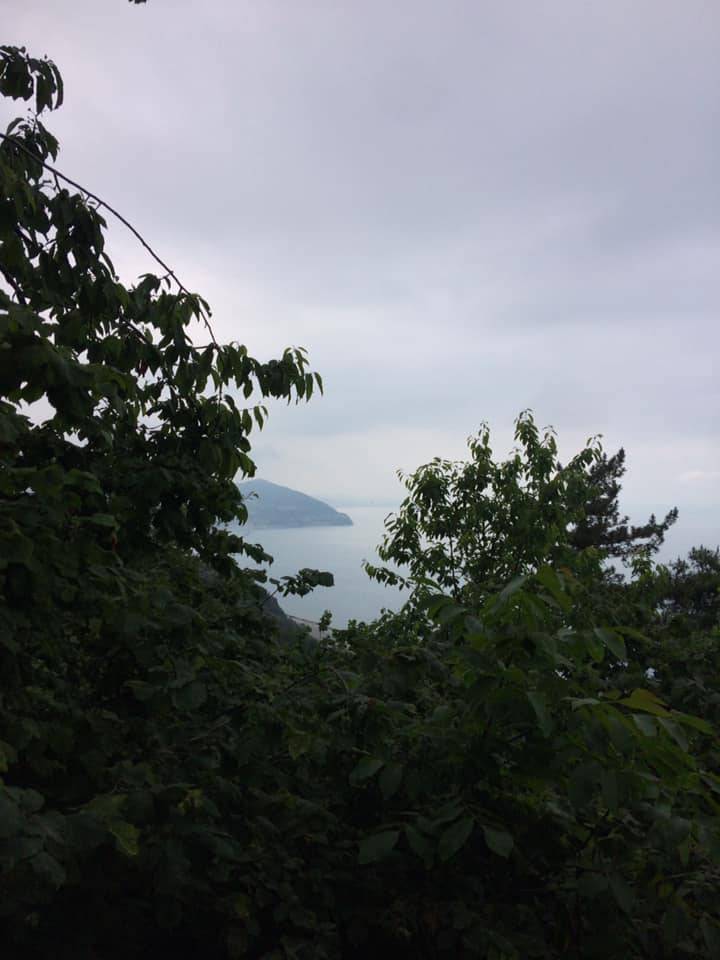 Gerze Hacıselli Köyü Resimleri 3