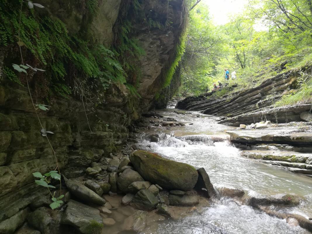 Gerze Karlı Köyü Resimleri 3