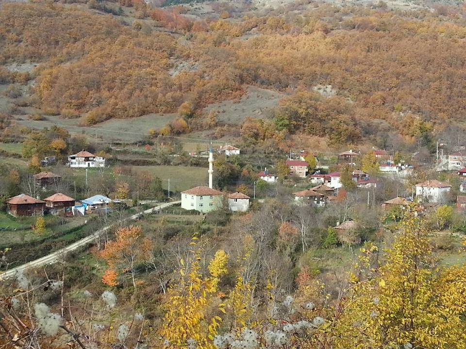 Gerze Kızılcalı Köyü Resimleri 10