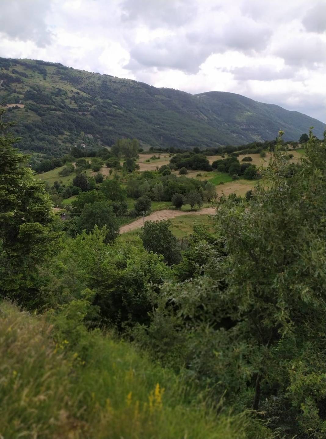 Gerze Kızılcalı Köyü Resimleri 4