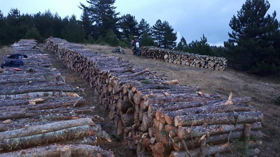 Gerze Kızılcalı Köyü Resimleri 5