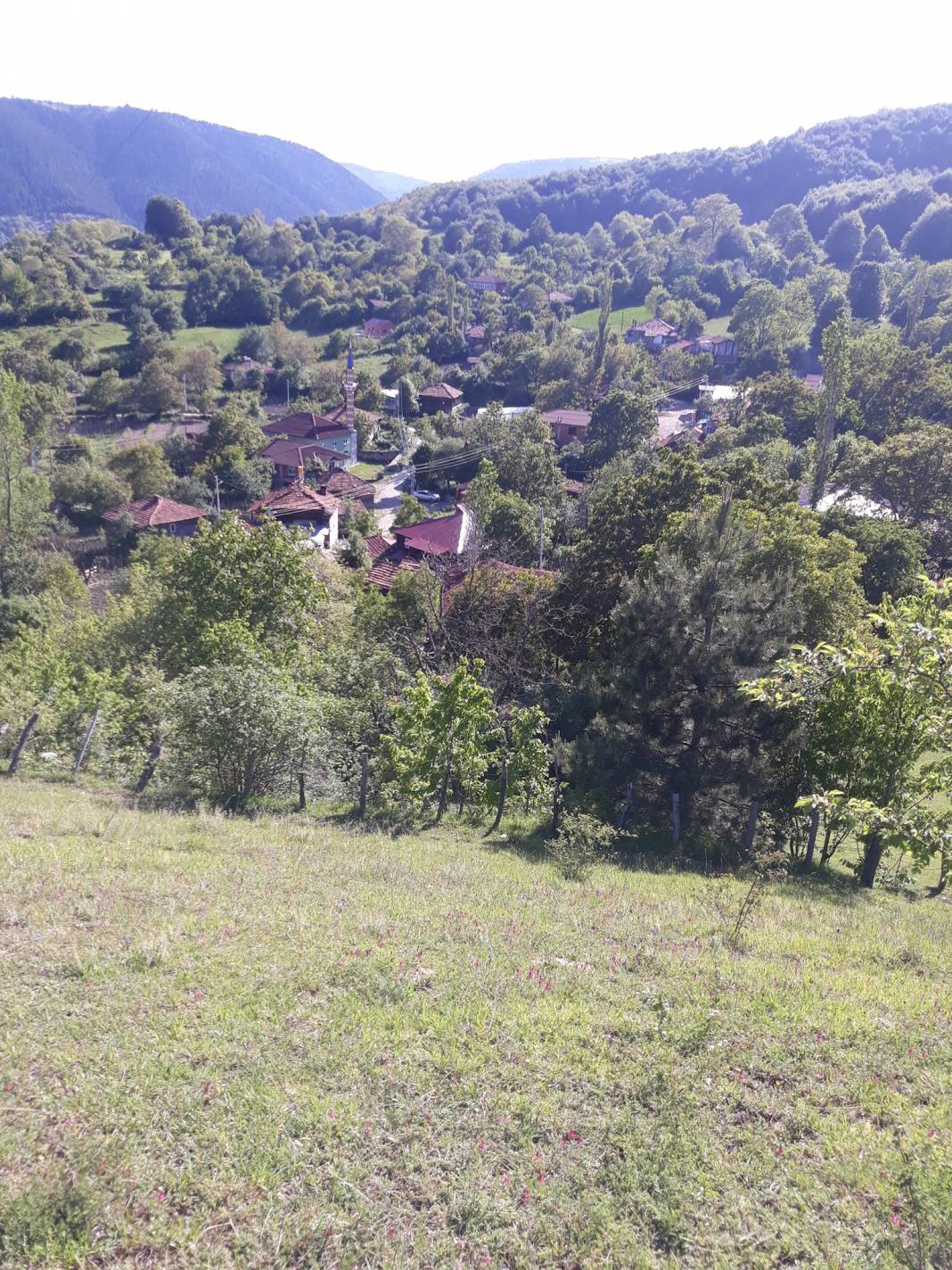 Gerze Kızılcalı Köyü Resimleri 9