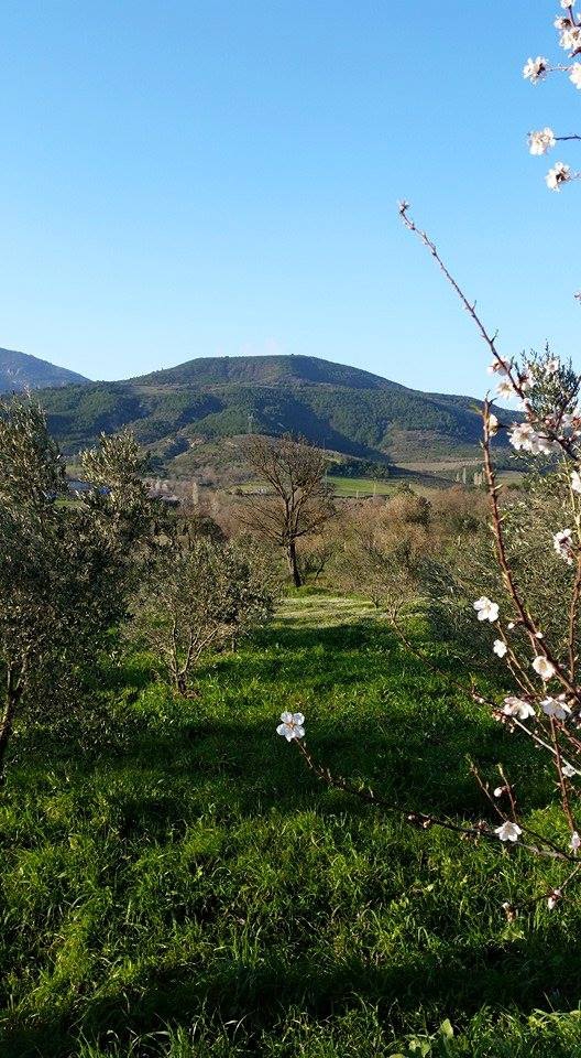 Pamukova Gökgöz Köyü Resimleri 12