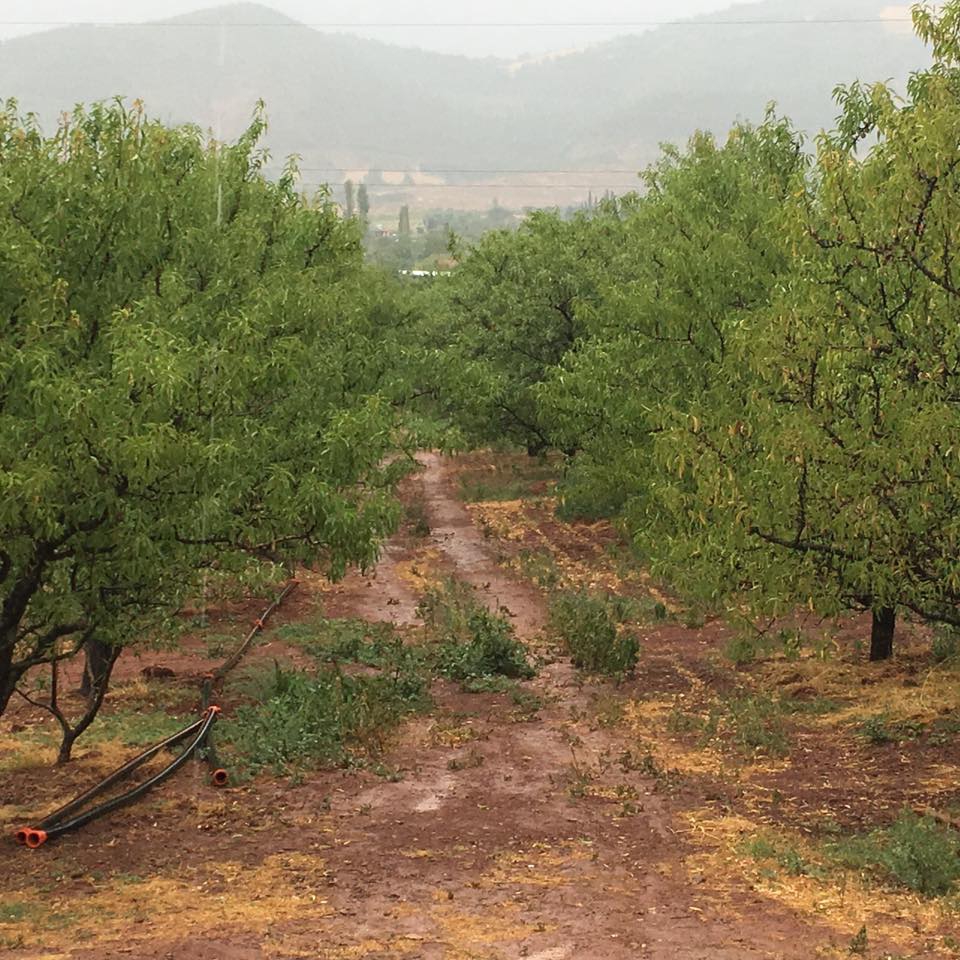 Pamukova Gökgöz Köyü Resimleri 13