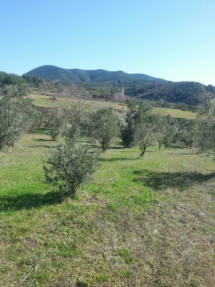 Pamukova Gökgöz Köyü Resimleri 2