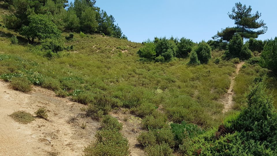 Pamukova Gökgöz Köyü Resimleri 4