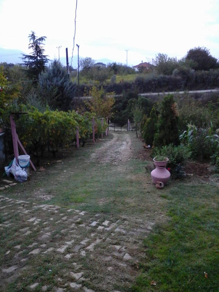 Pamukova Gökgöz Köyü Resimleri 7