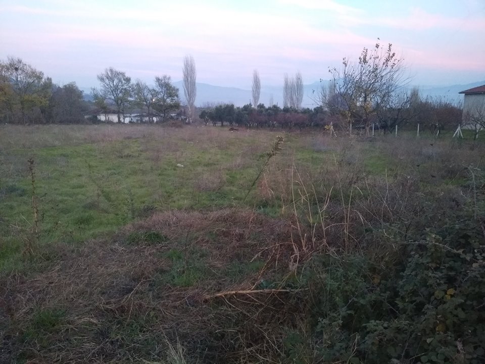 Pamukova Gökgöz Köyü Resimleri 8