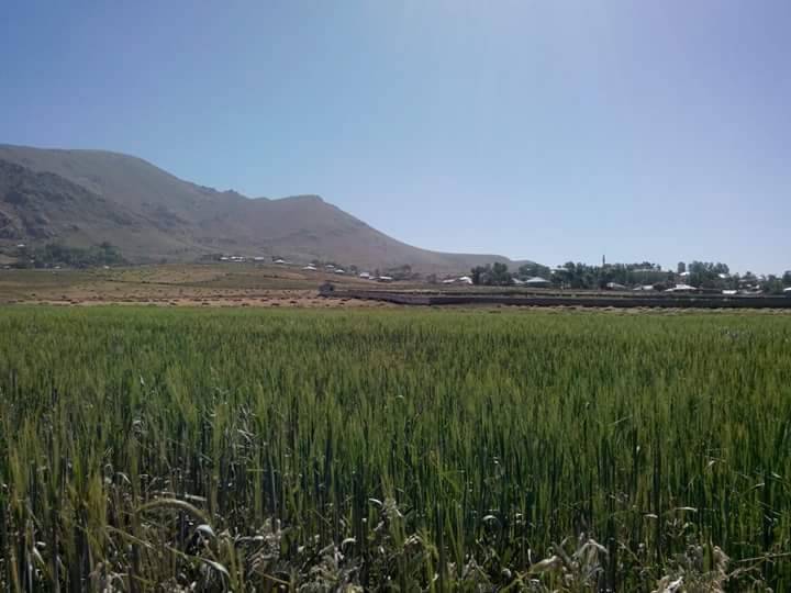 Van Alikelle Köyü Resimleri 2