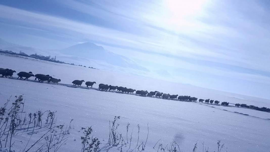 Van Alikelle Köyü Resimleri 9