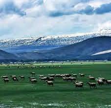 Van Aşağımutlu Köyü Resimleri 1