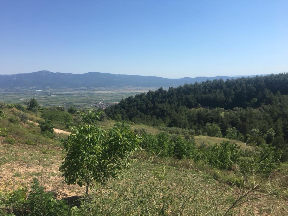 Pamukova Hayrettin Köyü Resimleri 10