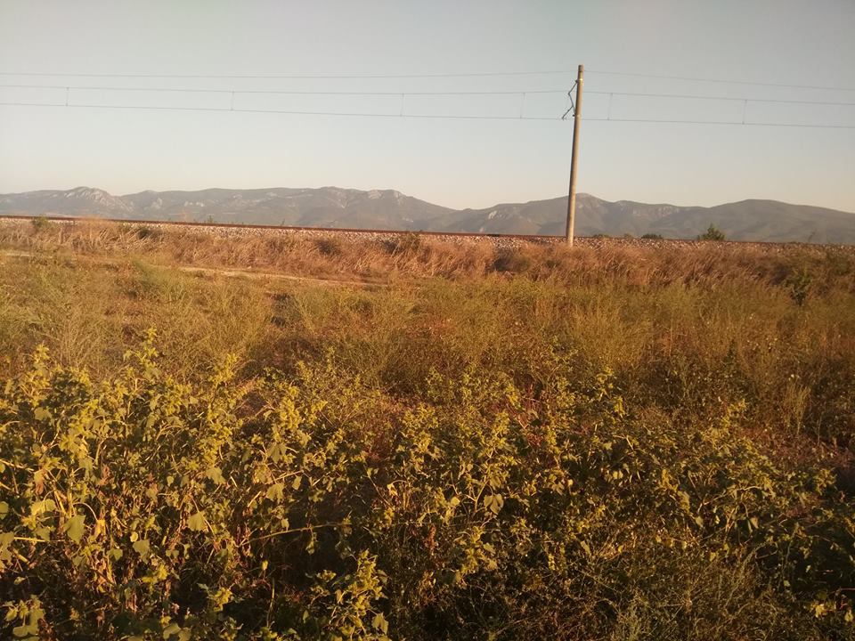 Pamukova Hayrettin Köyü Resimleri 2