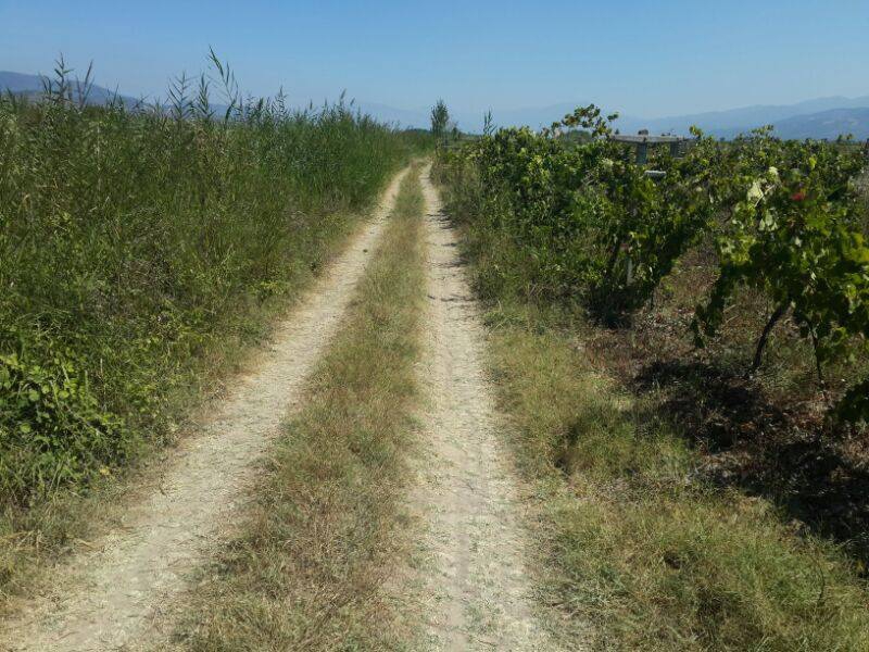 Pamukova Hayrettin Köyü Resimleri 7