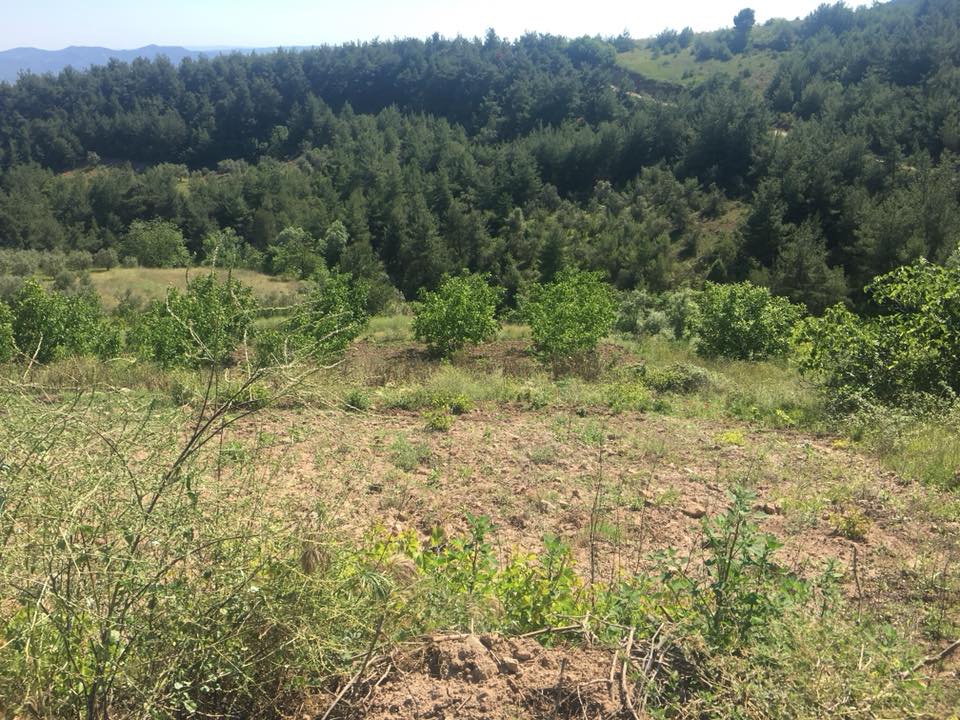 Pamukova Hayrettin Köyü Resimleri 9