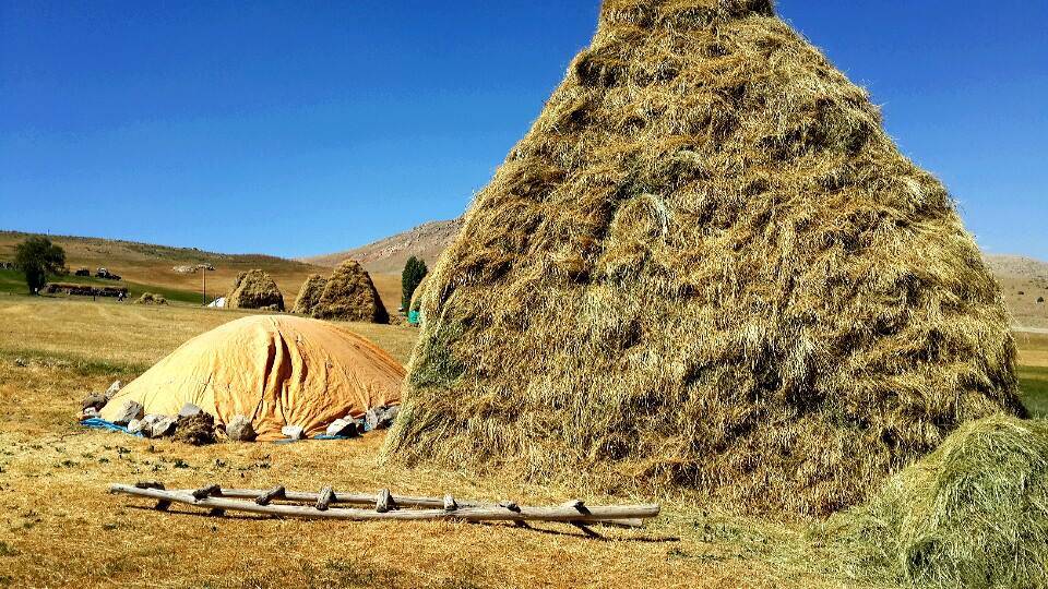 Van Direkli Köyü Resimleri 1