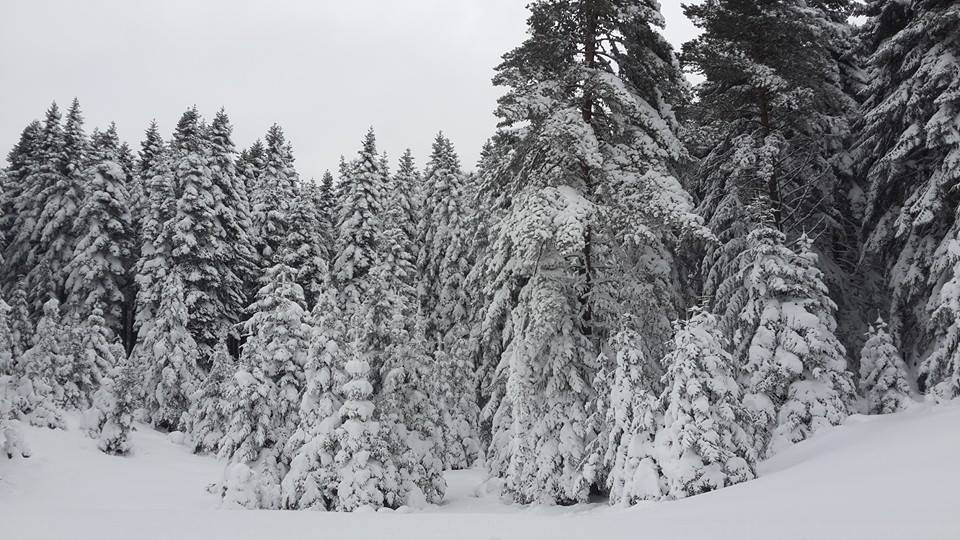 Pamukova Hüseyinli Köyü Resimleri 1