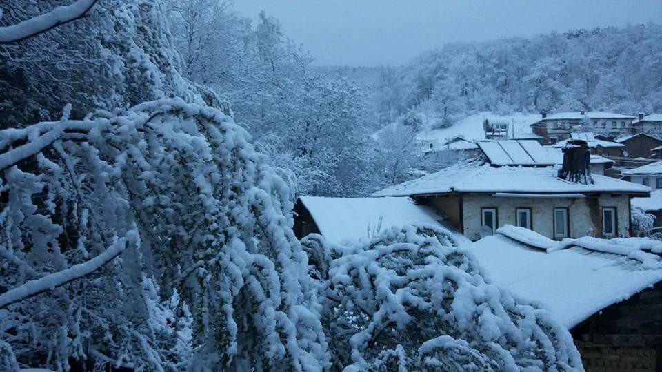 Pamukova Hüseyinli Köyü Resimleri 2