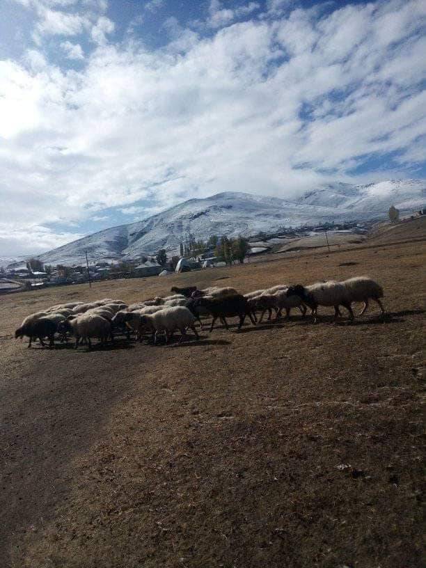 Van Doyumalan Köyü Resimleri 1