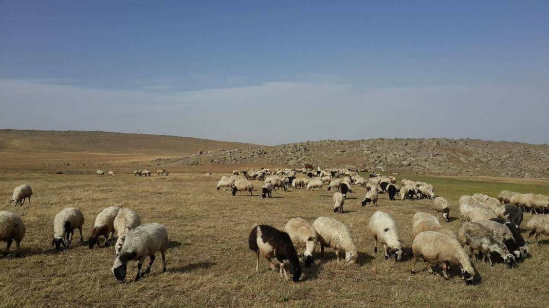 Van Evciler Köyü Resimleri 6