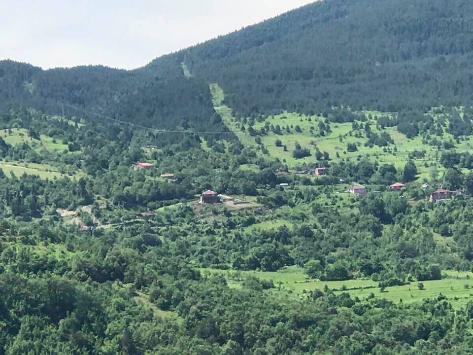 Gerze Kirençukuru Köyü Resimleri 6