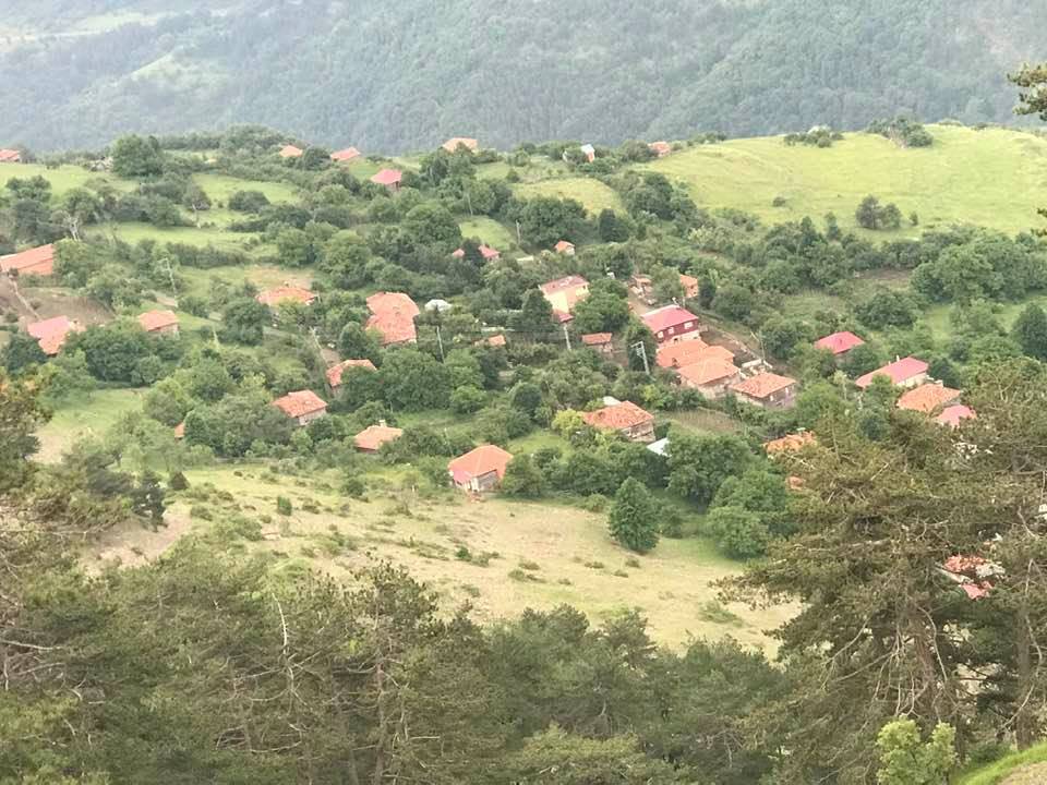 Gerze Kirençukuru Köyü Resimleri 7