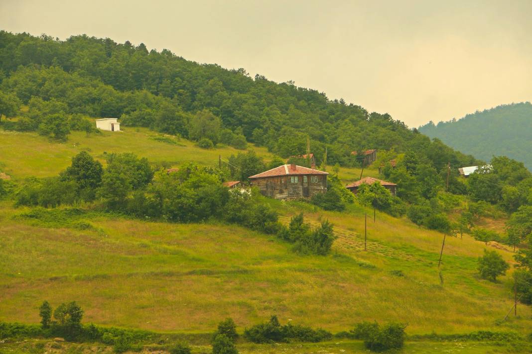 Gerze Kuzsökü Köyü Resimleri 1