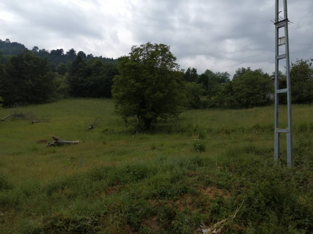 Gerze Kuzsökü Köyü Resimleri 2