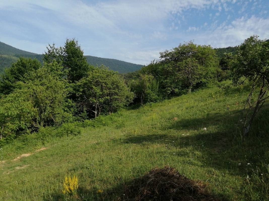 Gerze Kuzsökü Köyü Resimleri 3