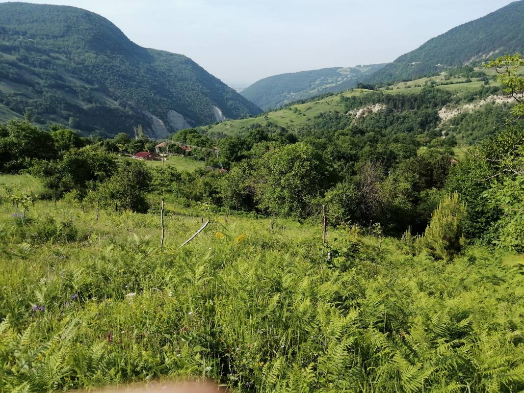 Gerze Kuzsökü Köyü Resimleri 4