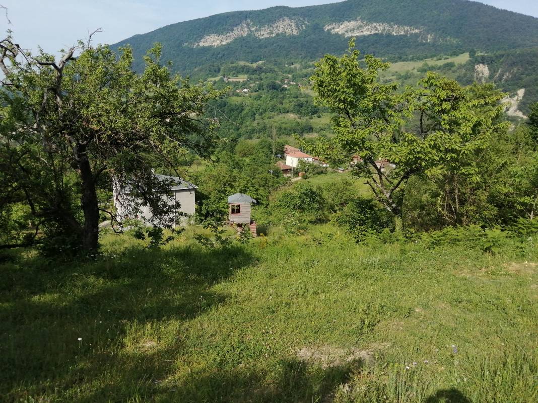 Gerze Kuzsökü Köyü Resimleri 5