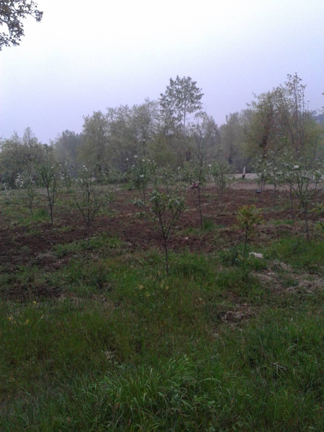 Gerze Mahmuttırı Köyü Resimleri 3