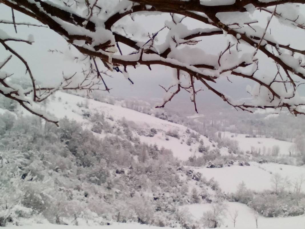 Gerze Mahmuttırı Köyü Resimleri 6