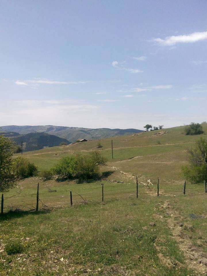 Gerze Pirahmet Köyü Resimleri 4