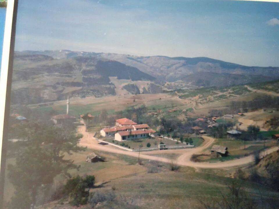 Gerze Sarımsak Köyü Resimleri 2