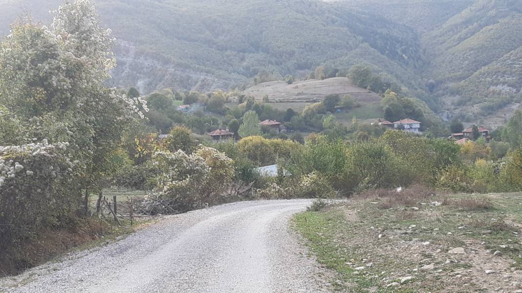 Gerze Sarımsak Köyü Resimleri 3