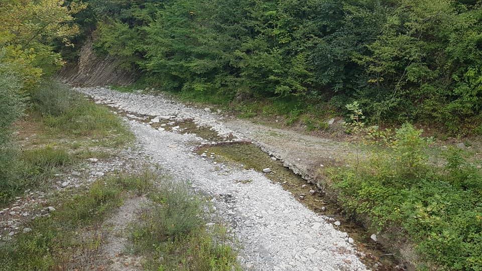 Gerze Sarımsak Köyü Resimleri 7