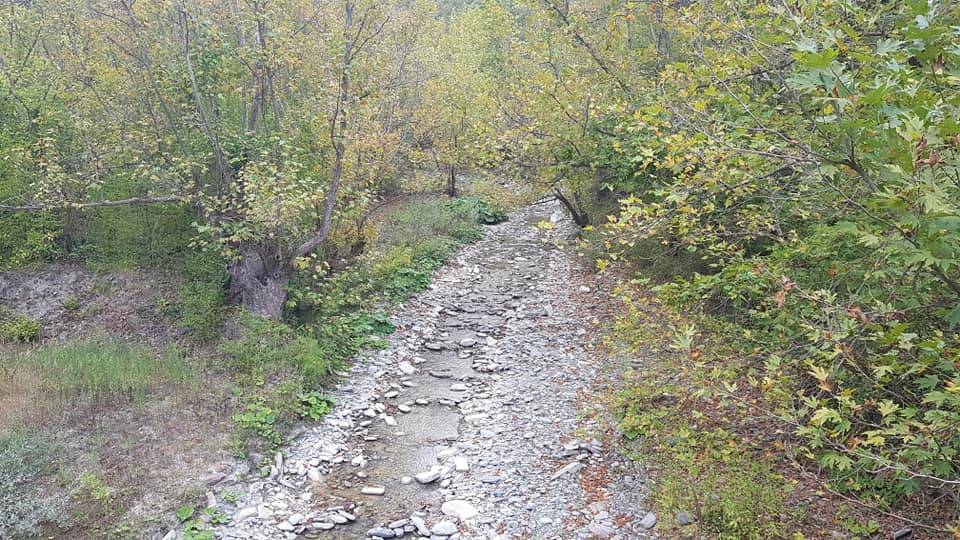 Gerze Sarımsak Köyü Resimleri 8