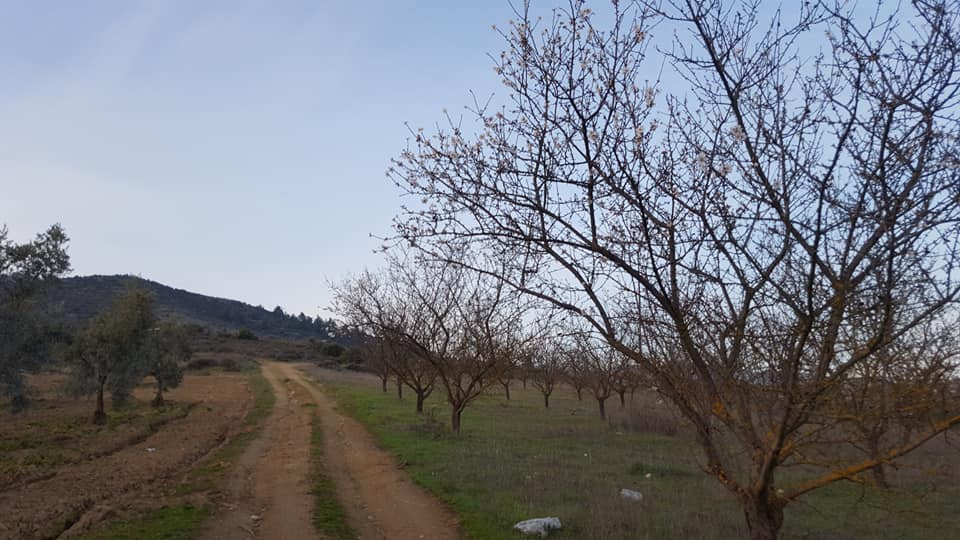 Pamukova İsabalı Köyü Resimleri 1