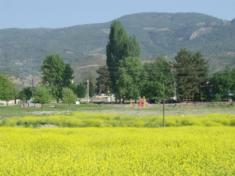 Pamukova İsabalı Köyü Resimleri 7