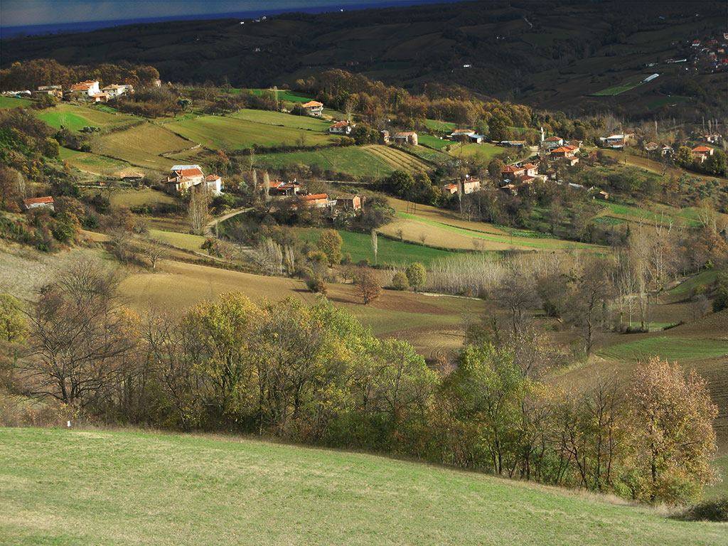 Gerze Sarıyer Köyü Resimleri 2