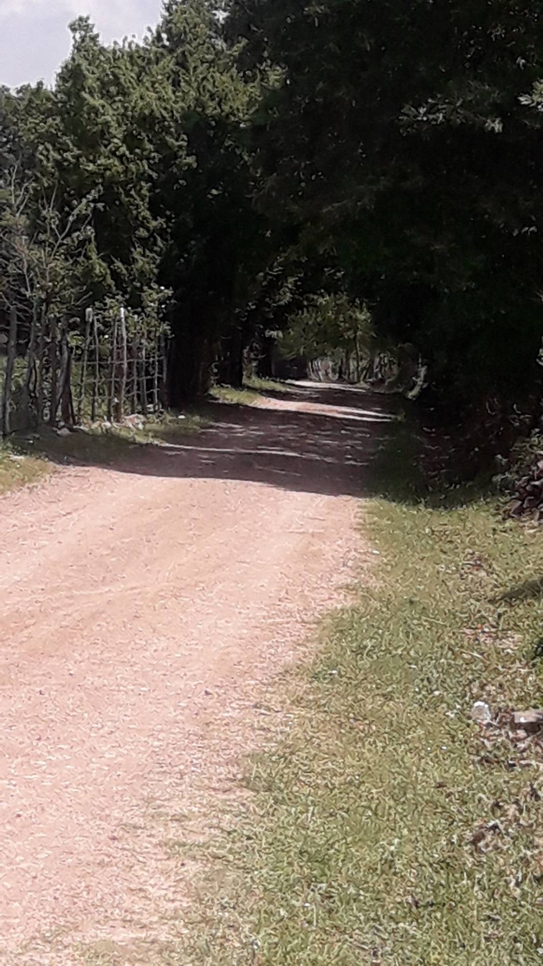 Gerze Sarıyer Köyü Resimleri 5