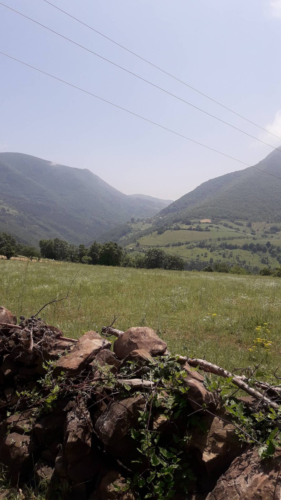 Gerze Sarıyer Köyü Resimleri 6