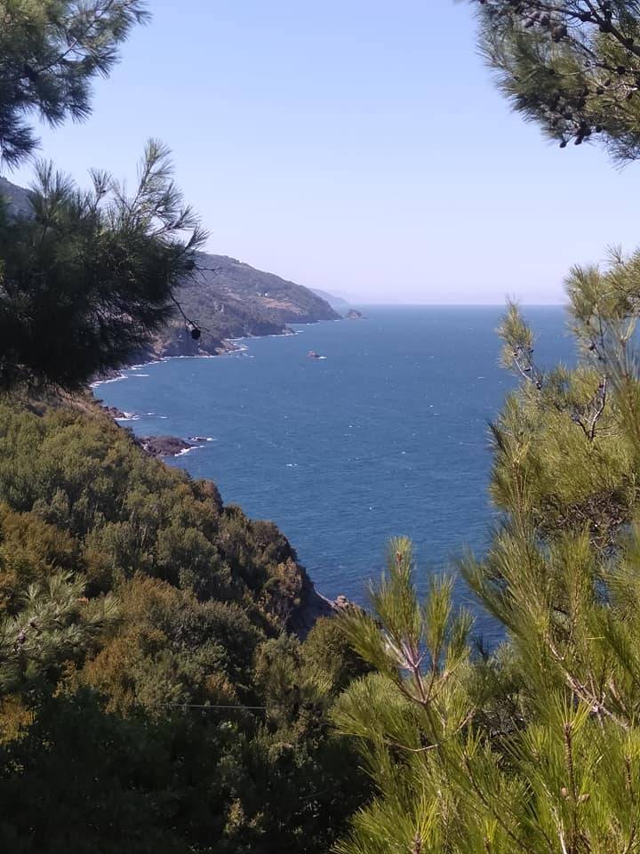 Gerze Sarıyer Köyü Resimleri 8