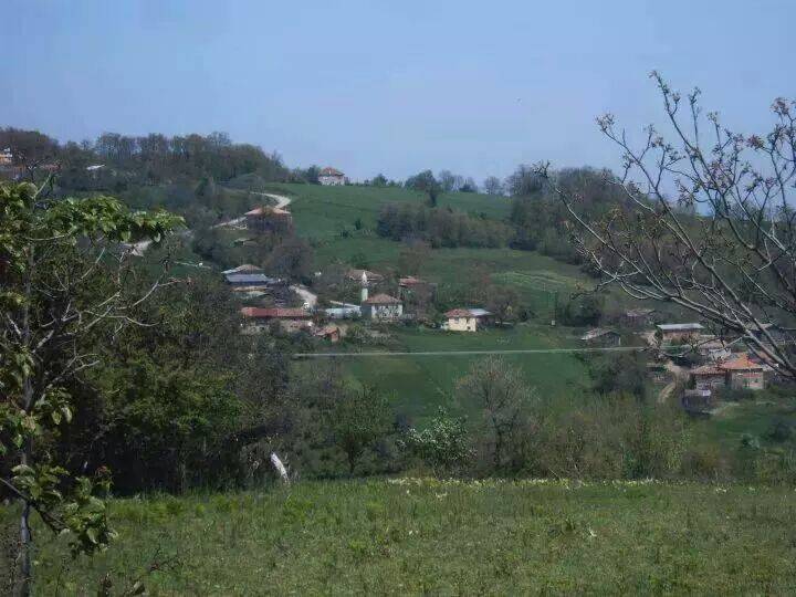 Gerze Sarıyer Köyü Resimleri 9