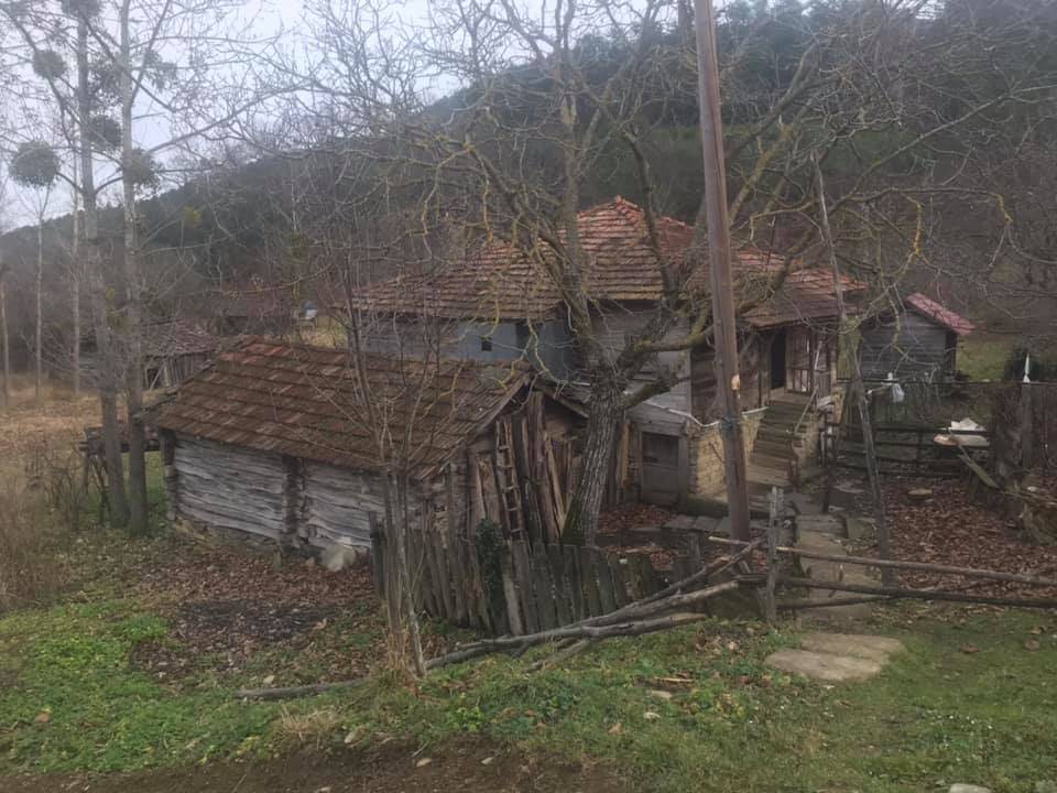 Gerze Sarnıç Köyü Resimleri 10