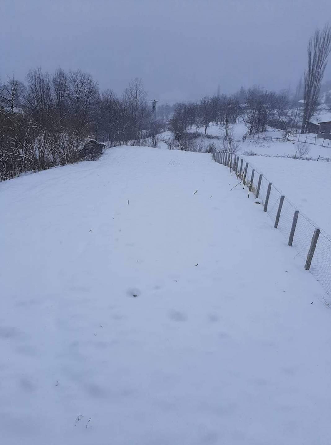 Gerze Sarnıç Köyü Resimleri 4