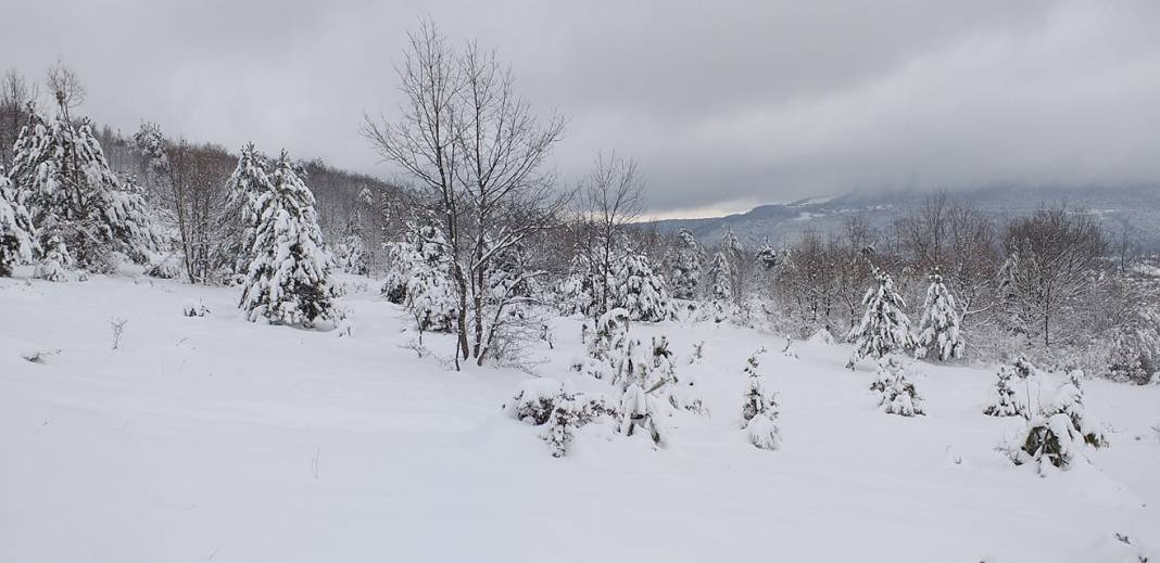 Gerze Sarnıç Köyü Resimleri 5