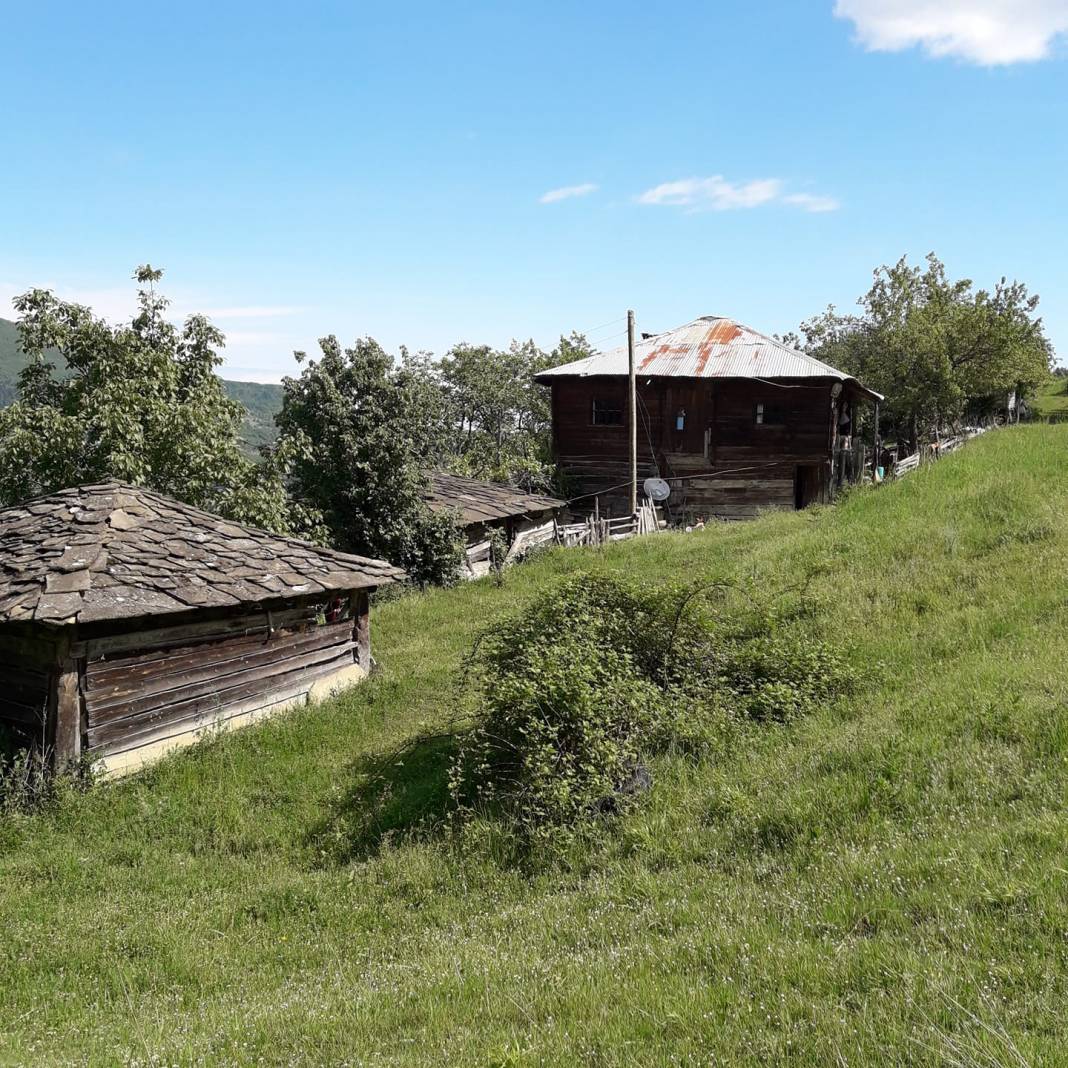 Gerze Sarnıç Köyü Resimleri 6