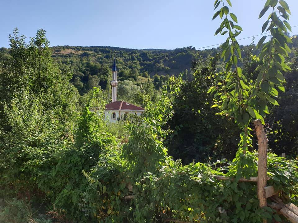 Gerze Sarnıç Köyü Resimleri 7